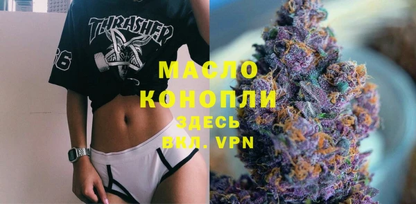 индика Наволоки