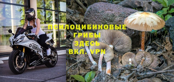индика Наволоки