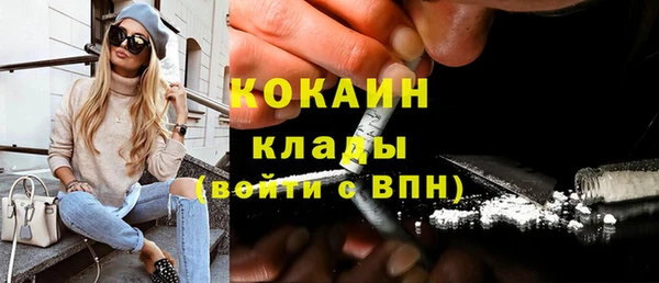 индика Наволоки