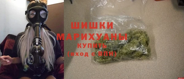 индика Наволоки