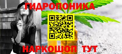 амф Гай
