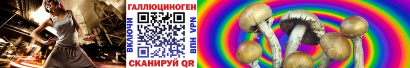 Галлюциногенные грибы Psilocybine cubensis  Йошкар-Ола 