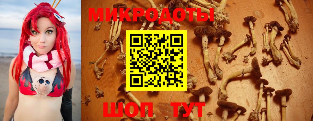 Галлюциногенные грибы ЛСД Йошкар-Ола