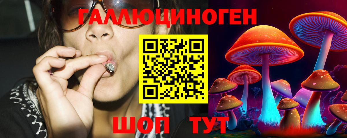 Йошкар-Ола  Псилоцибиновые грибы мухоморы  Вход с VPN 